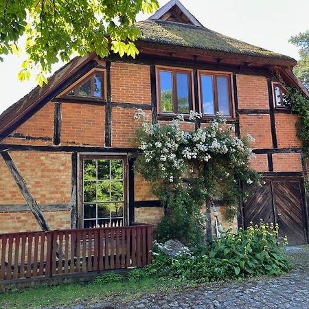 Pfarrhaus Tollensesee Penzlin Eksteriør bilde