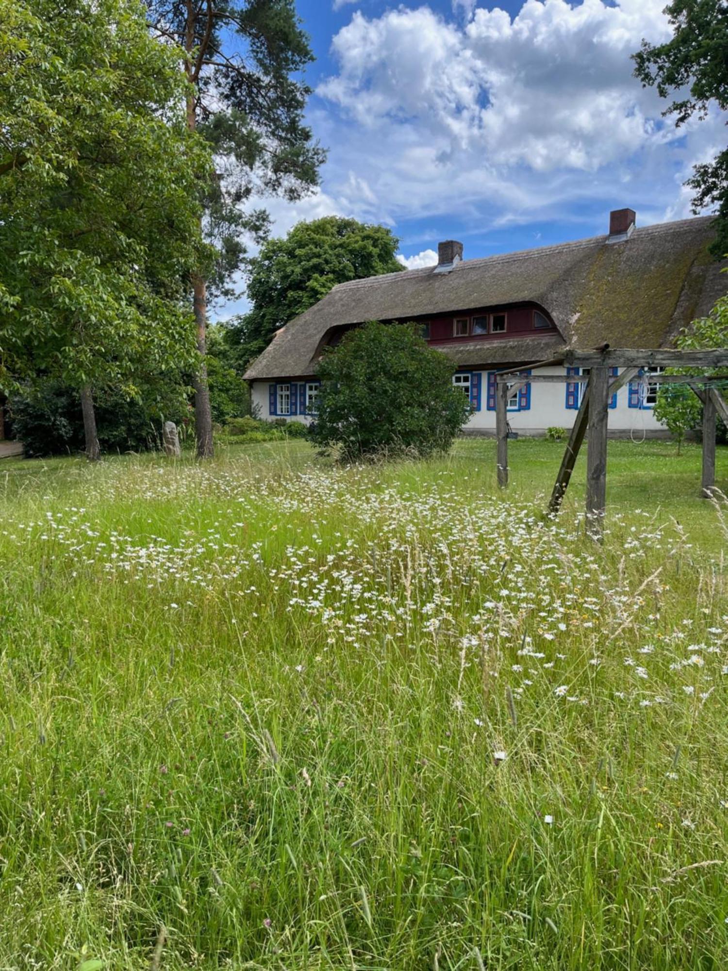 Pfarrhaus Tollensesee Penzlin Eksteriør bilde